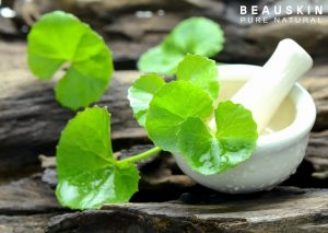 Đắp mặt nạ rau má có tác dụng gì cho da