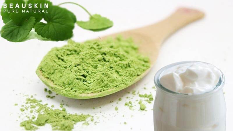 Đắp rau má bao lâu thì hết sẹo?