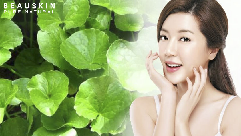 Rửa mặt bằng nước rau má