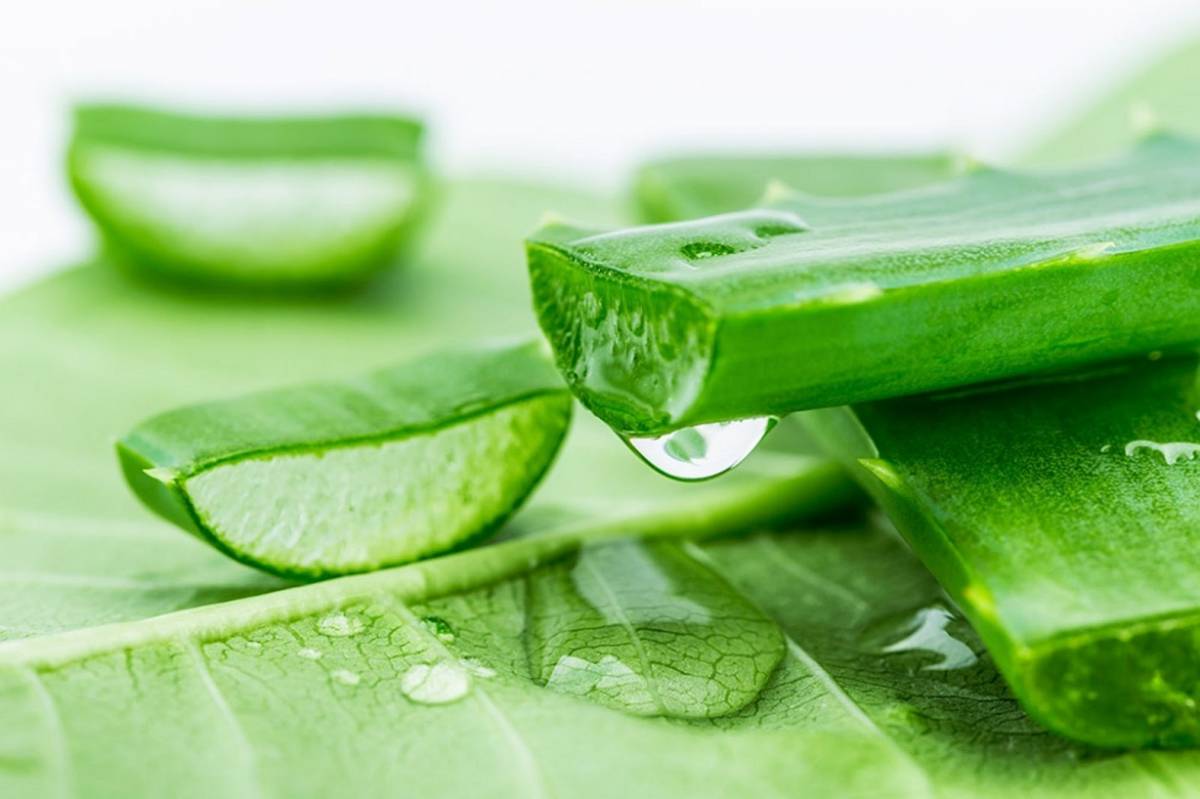CÔNG THỨC LÀM ĐẸP CỰC HAY HO VỚI LÔ HỘI