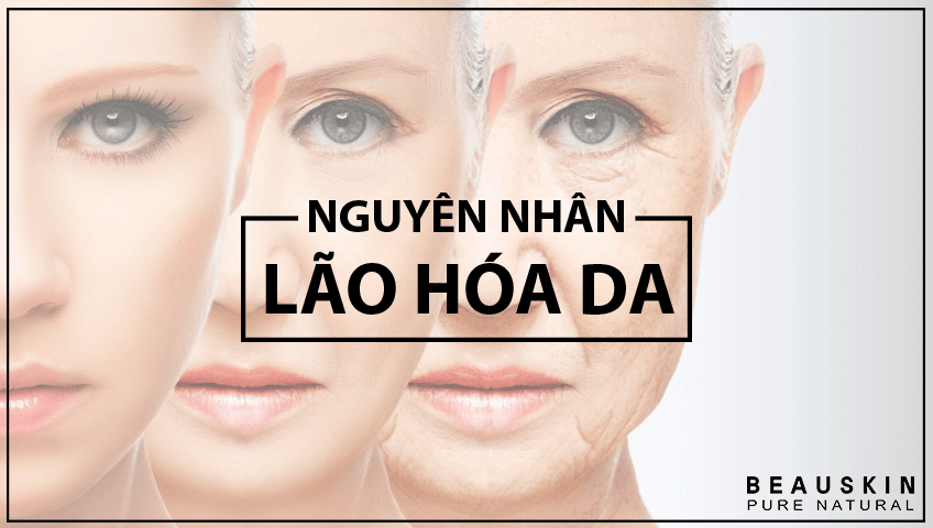 Nguyên nhân lão hóa da