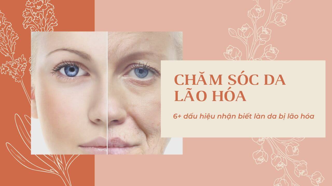6+ dấu hiệu nhận biết làn da bị lão hóa và cách chăm sóc đúng chuẩn